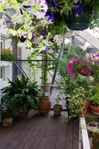 uma varanda com muitas plantas e flores em vasos em Loft de Cannes B&B em Cannes