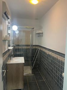 un baño con lavabo y ducha en Apartamentos La Encomienda 2 Llaves, en Moraleja