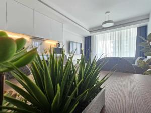 a room with potted plants in the middle of a room at Holiday Apartments at Grand Sapphire Residence in Saint Yeorgios