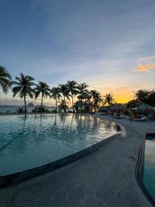 a swimming pool with palm trees on the beach at Studio vue mer avec piscine - Le Diamant in Le Diamant