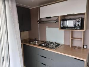 Una pequeña cocina con fregadero y microondas. en Mobilhome 3 chambre à 2 pas de la plage, en Sarzeau