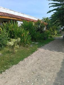 Κήπος έξω από το Narima Torok Homestay