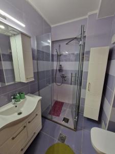 a bathroom with a shower and a sink at Apartman Djole in Brzeće +13 photos
