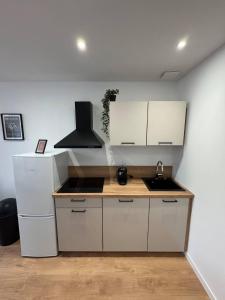 Η κουζίνα ή μικρή κουζίνα στο Studio neuf et élégant au centre de Vierzon