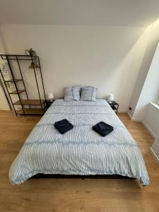 Ένα ή περισσότερα κρεβάτια σε δωμάτιο στο Studio neuf et élégant au centre de Vierzon