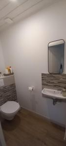a bathroom with a toilet and a sink and a mirror at Petite maison au calme tout confort in Challans +7 photos