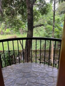 ein Balkon mit einem Baum und einer Steinterrasse in der Unterkunft Apricot Cottage in Kozhikode