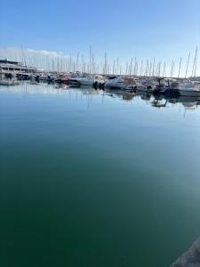 Gallery image of F3 et Piscine Port Yasmine Hammamet in Yasmine