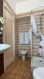 un bagno con lavandino, WC e doccia di Au Royal Hotel a Carcassonne