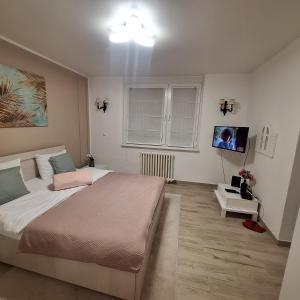 Gulta vai gultas numurā naktsmītnē Momento