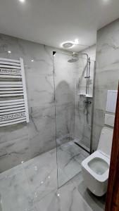 a bathroom with a shower and a toilet at Hron River View Apartment 24h Self check -in Free Parking in Banská Bystrica +21 photos