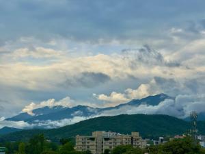 Příroda nedaleko apartmánu