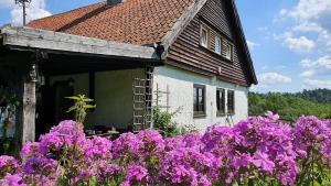 a house with purple flowers in front of it at Na Żurawim Wzgórzu in Pasym +20 photos