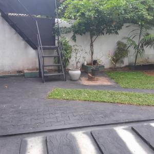 um jardim com uma escada e uma planta em සදෙව් Villa em Anuradhapura