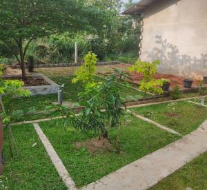 Κήπος έξω από το Shyami Villa +15 φωτογραφίες