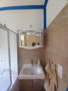 Un baño con lavabo, ducha y espejo. en beim Anderl, en Oberammergau