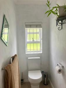 a bathroom with a white toilet and a window at Cosy homestay in green area in Stellenbosch