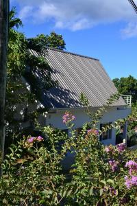 Zahrada ubytování Ocean Bird & Wanita's Self Catering
