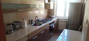 a small kitchen with a sink and a stove at Apartament u Basi in Sanok
