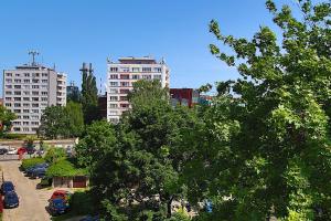 a view of a city with tall buildings and a tree at Perfect Location Apartment with Balcony Oldtown in Gdańsk