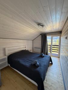 a bedroom with a bed in a room with a window at Джерело in Vygoda +11 photos
