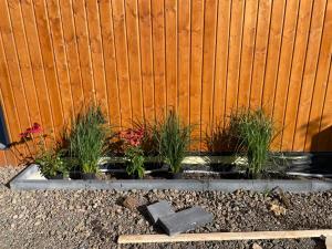 a garden with plants in front of a fence at Witam Karpacz 2 in Karpacz +2 photos