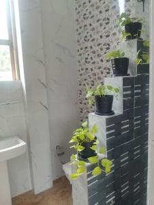 a bathroom with potted plants on top of a dresser at Aurora White Bungalow Kandy in Kandy +22 photos