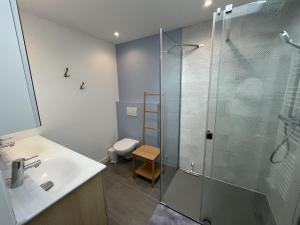 ein Badezimmer mit Dusche, Waschbecken und Toilette in der Unterkunft Maison de la Beureliere in Sainte-Marie-de-Ré + 28 Fotos