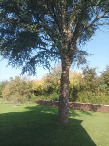 Κήπος έξω από το L'émeraude