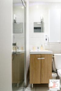 a bathroom with a sink and a shower and a toilet at Joli gîte centre historique de Milly 2-4 personnes in Milly-la-Forêt