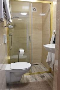 a bathroom with a toilet and a shower and a sink at Pokoje Mira in Torzym