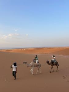 a group of people riding camels on the beach at Desert tours&trips in Zagora
