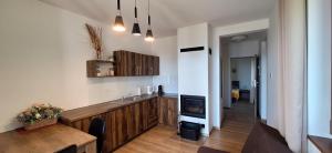 ザジェチェにあるUroczysko nad Jeziorem Żywieckimのキッチン(木製のカウンタートップ、テーブル付)