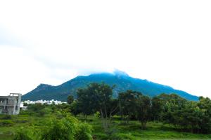 een berg in de verte met bomen op de voorgrond bij Nandhi home stay in Tiruvannamalai +13 foto's