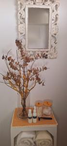 a vase with a plant on a shelf with a mirror at Mary's House in Angra do Heroísmo