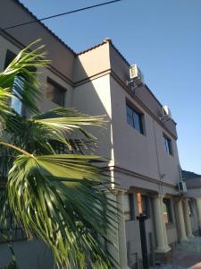 a building with a palm tree in front of it at Divine Boutique Hotel in Rustenburg