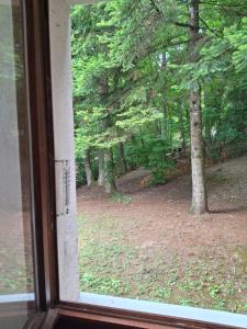 a window with a view of a forest of trees at petite forêt in Boersch