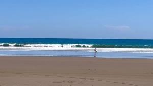 Gallery image of Casa de las Palmas, Residencia Isabella in Parrita