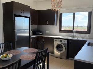 eine Küche mit einem Tisch mit Stühlen und einer Waschmaschine in der Unterkunft Agia Marina - Rural Retreat, Shared Pool & Parking in Avgorou