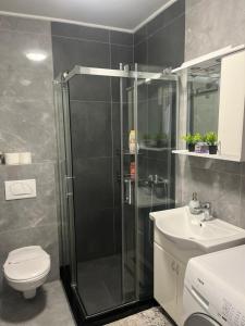a bathroom with a shower and a toilet and a sink at Stan na dan Iv in Lukavica +5 photos