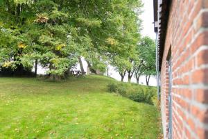 Zahrada ubytování Studio Mini + 5 fotografií