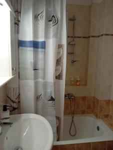 a bathroom with a shower and a tub and a sink at Misty Place in Ioannina