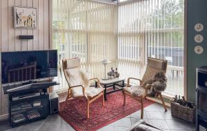 a living room with two chairs and a tv and a dog at Cozy Home In Tarm With Sauna in Højsand