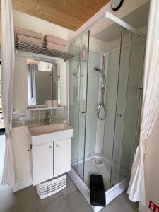 a bathroom with a shower and a sink at de graslelie in Schoten +17 photos