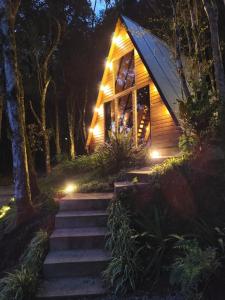 a cabin in the woods at night with lights at Chalé Passione in Gramado