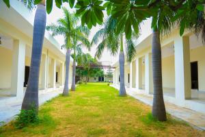 een rij palmbomen voor een gebouw bij The Lala Hotel and Resort in Pushkar