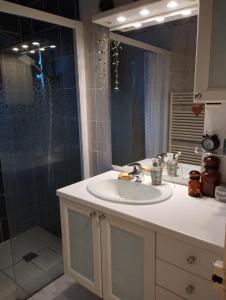 a bathroom with a sink and a shower at À fleur de source in Mer
