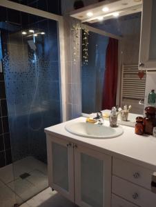 a bathroom with a sink and a shower at À fleur de source in Mer