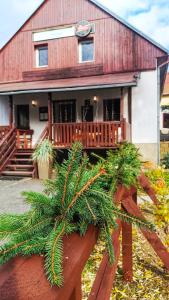 a house with a christmas tree in front of it at hostinec Thérése in Petrovice