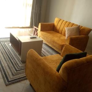 Gallery image of Spea Homely Apartments in Mbarara